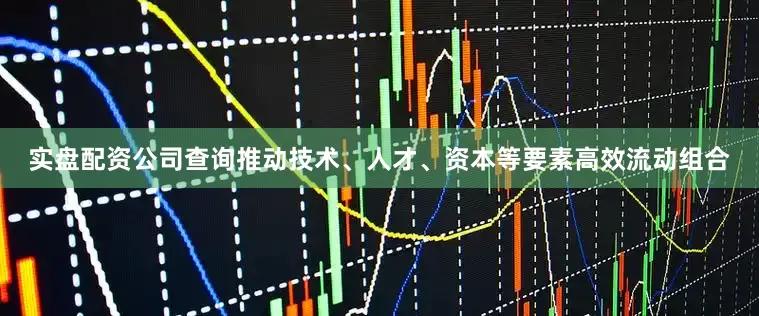 实盘配资公司查询推动技术、人才、资本等要素高效流动组合
