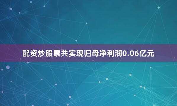 配资炒股票共实现归母净利润0.06亿元